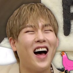 주헌